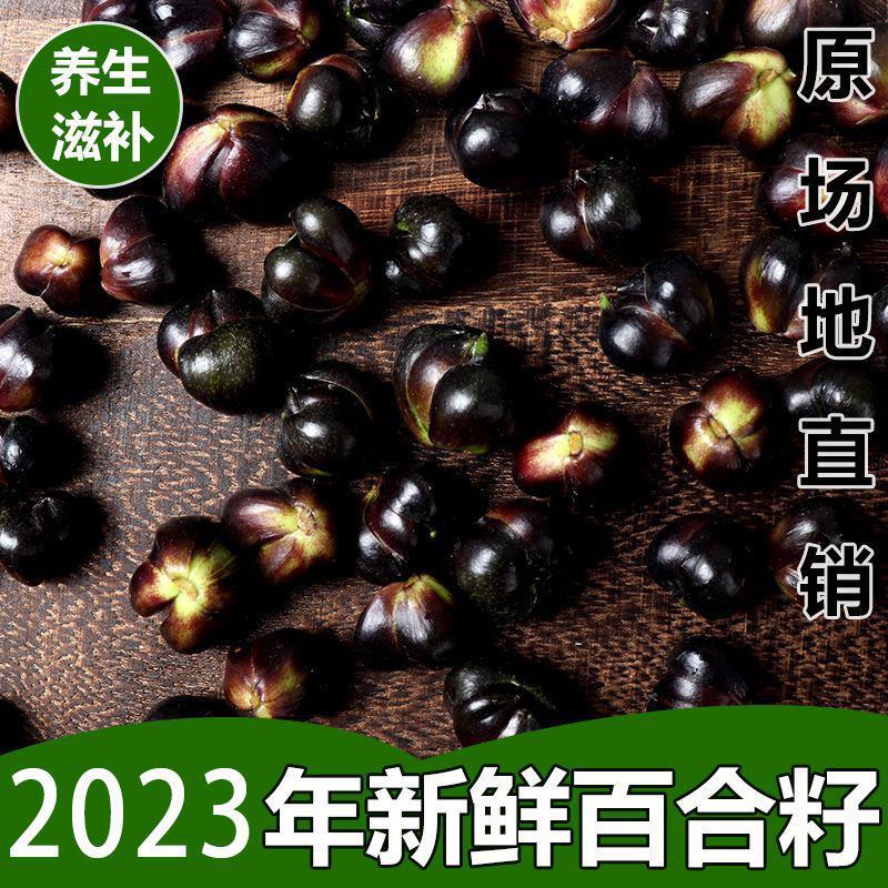新鲜百合果湘西龙山特产新鲜百合籽可食用种球可种