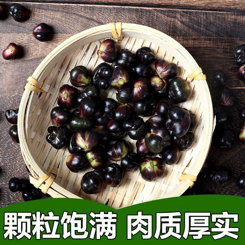 新鲜百合果湘西龙山特产新鲜百合籽可食用种球可种