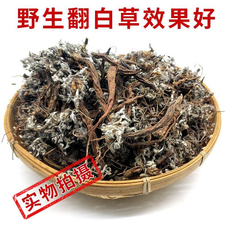 2023新货干翻白草新鲜野生整颗带根可搭配地骨皮中药材翻