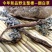 2023新货干翻白草新鲜野生整颗带根可搭配地骨皮中药材翻