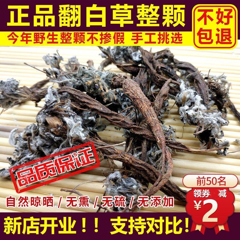 2023新货干翻白草新鲜野生整颗带根可搭配地骨皮中药材翻
