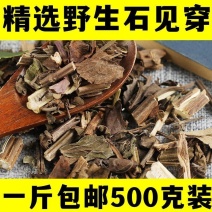 中药材石见穿500g新鲜野生石见穿干月下红石打穿紫参石大