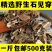 中药材石见穿500g新鲜野生石见穿干月下红石打穿紫参石大