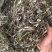 天青地白中草药材500克包邮金鸡舌叶下白上青下白