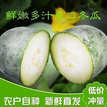 [新鲜小冬瓜]精品水果冬瓜大量供应全国发货欢迎来电