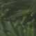 西安本地产优质水果秋葵