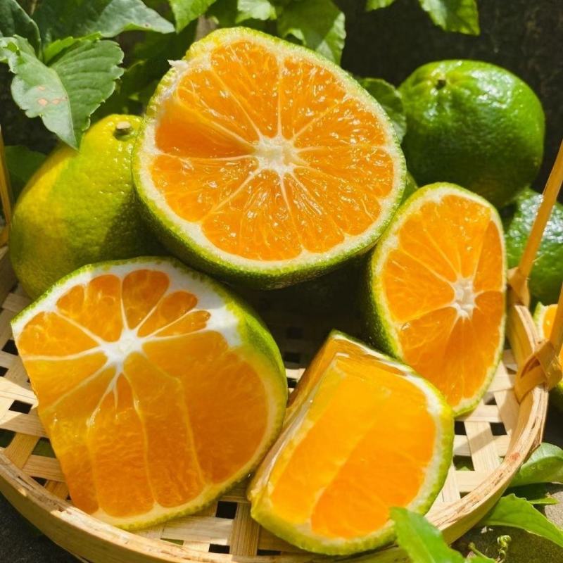 【荐】云南蜜橘玉溪特早蜜橘现摘现发精选大果代发全国欢迎来