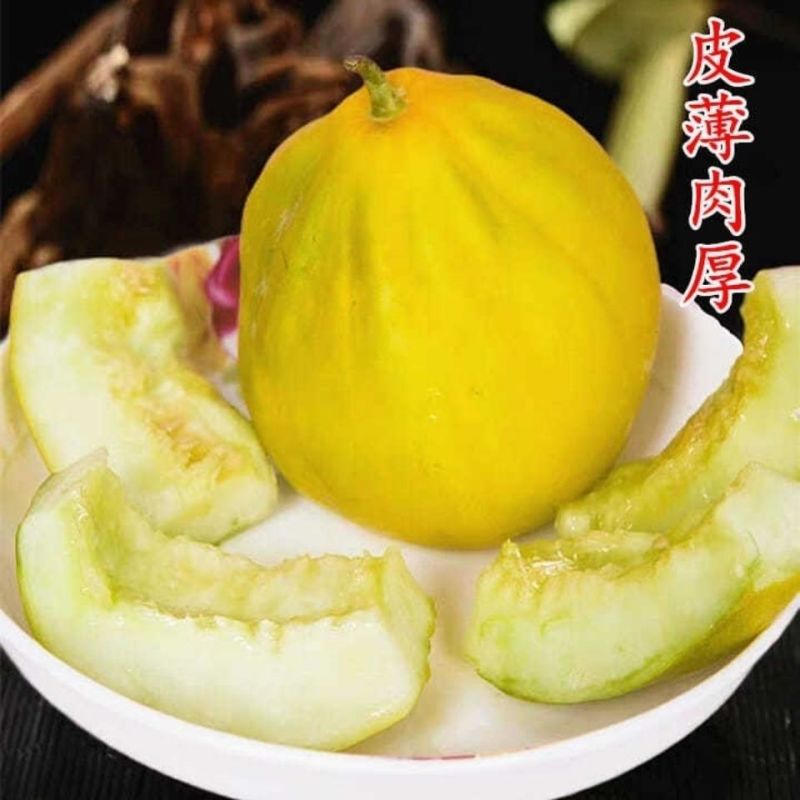【推荐】湖北精品丑八怪香瓜香甜爆汁现摘现发产地批发