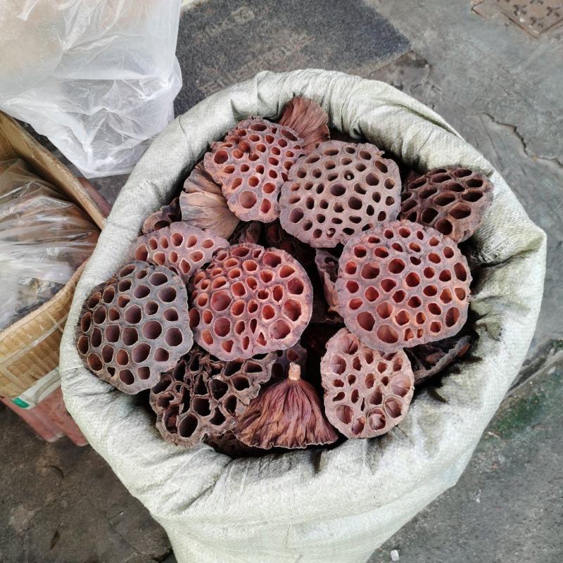 中药材，莲房，莲托，干货煲汤去湿料，批发价