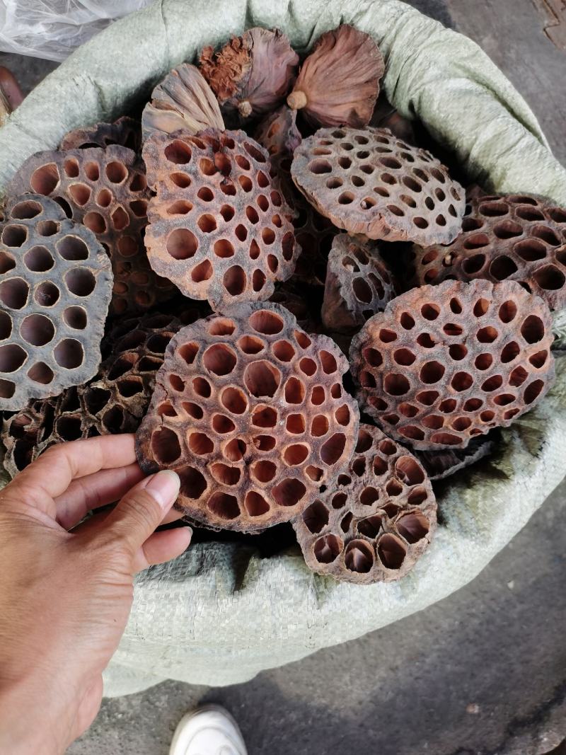 中药材，莲房，莲托，干货煲汤去湿料，批发价
