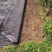 农用加厚防草布大棚果园抗老化透气保湿除草布全新料园艺地布