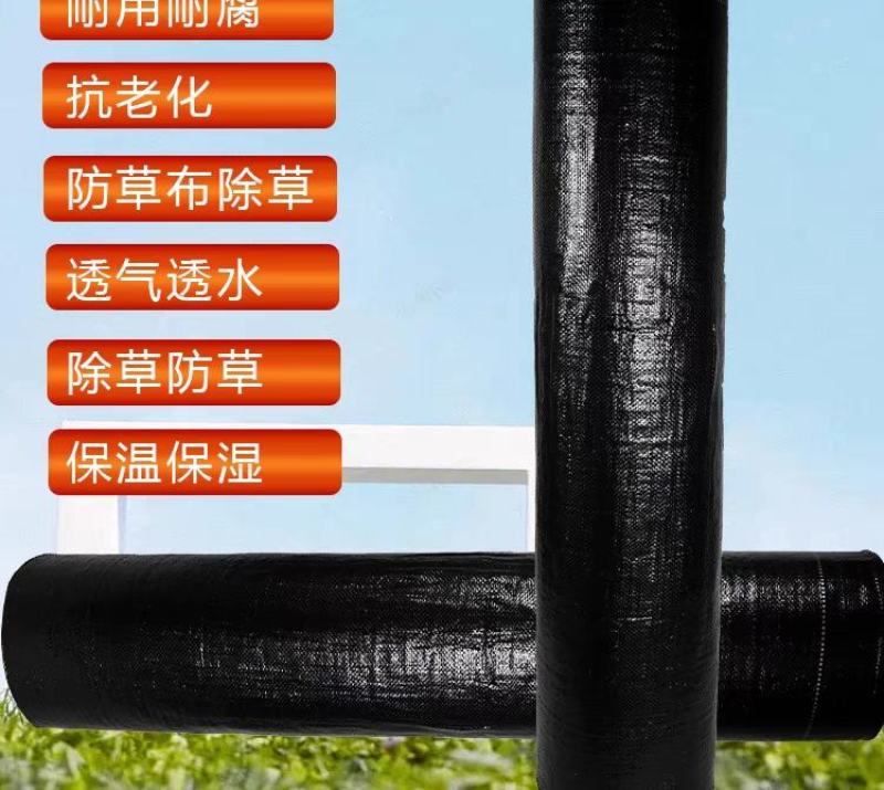 防草布透水透气园艺地布果园苗圃除草布