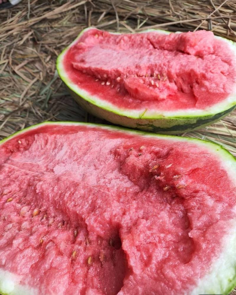 西瓜，宁夏石头瓜万亩西瓜种植基地现摘现发基地直供