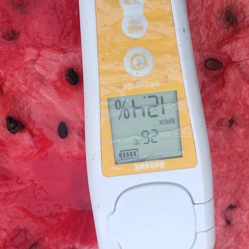 甜王一号，庆红999