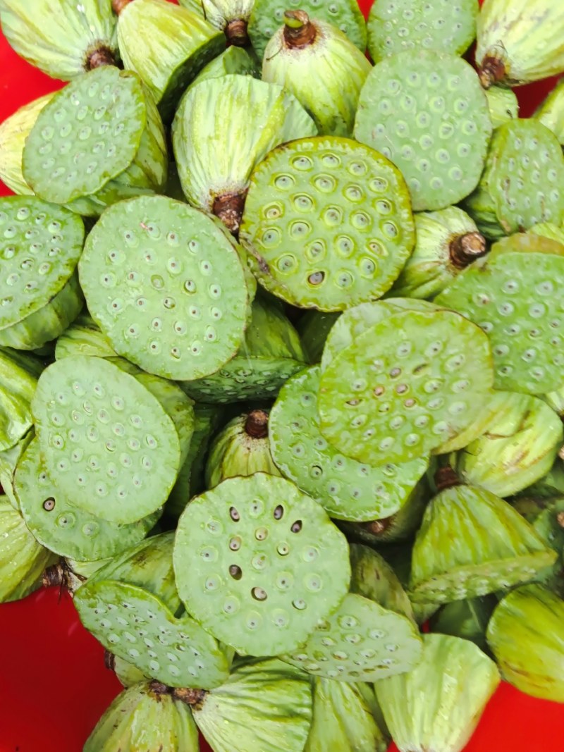 自家种植洪泽湖无污染莲蓬上市了。