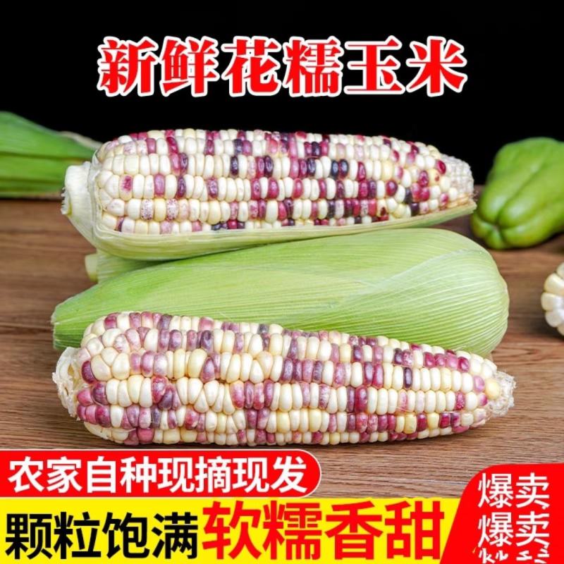 产地直销量大优质欢迎订购