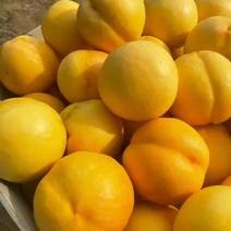 黄油桃发货，
