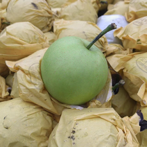 河北精品绿宝石梨大量上市香甜可口量大从优产地直供