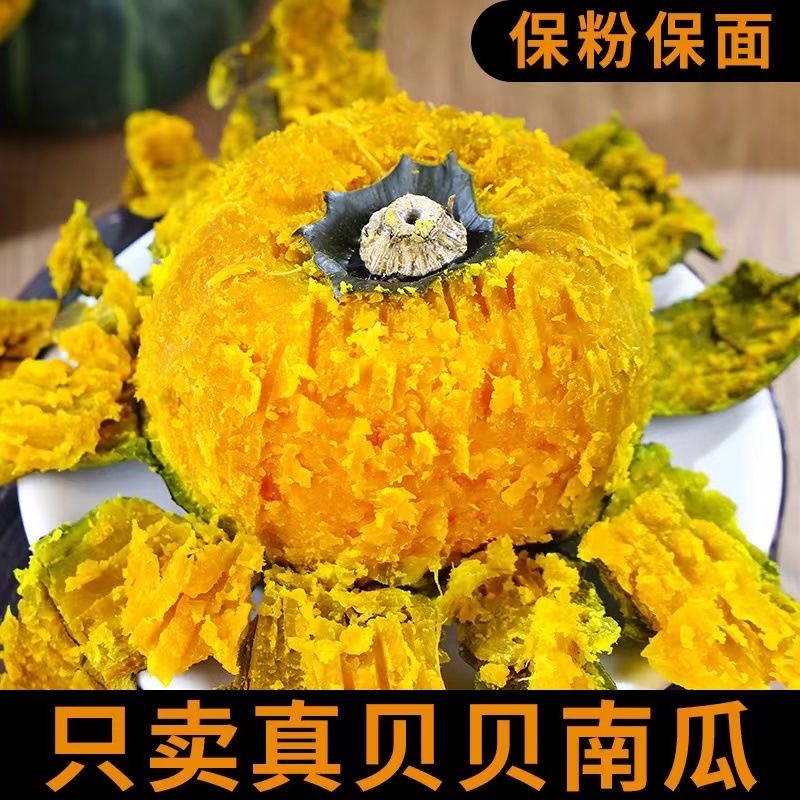 贝贝南瓜山东济宁种植基地