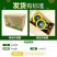 贝贝南瓜山东济宁种植基地
