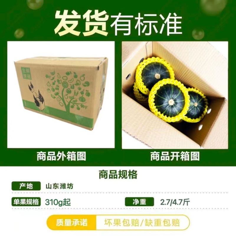贝贝南瓜山东济宁种植基地