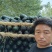 黑皮掉东瓜，基地种植，种植面积大代发全国各地