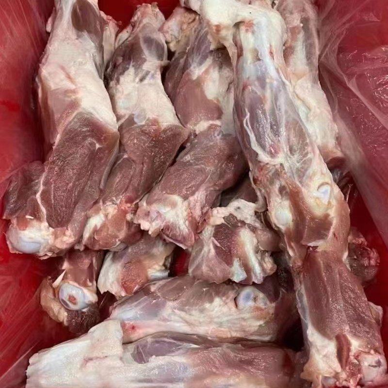 带键后腿骨