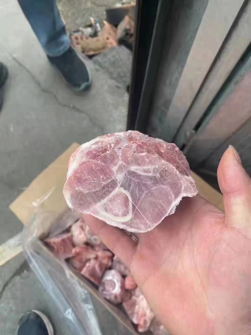 带键后腿骨