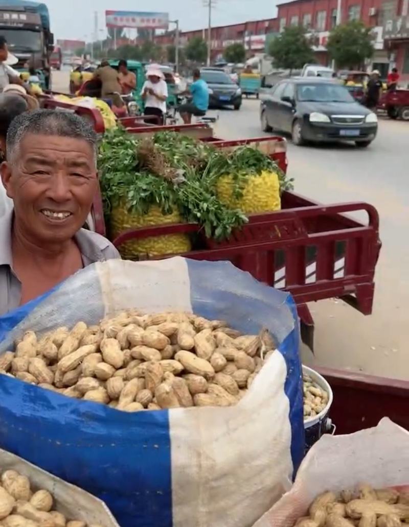 [推荐]开封祥符区沙地鲜花生花生颗粒饱满大量供应