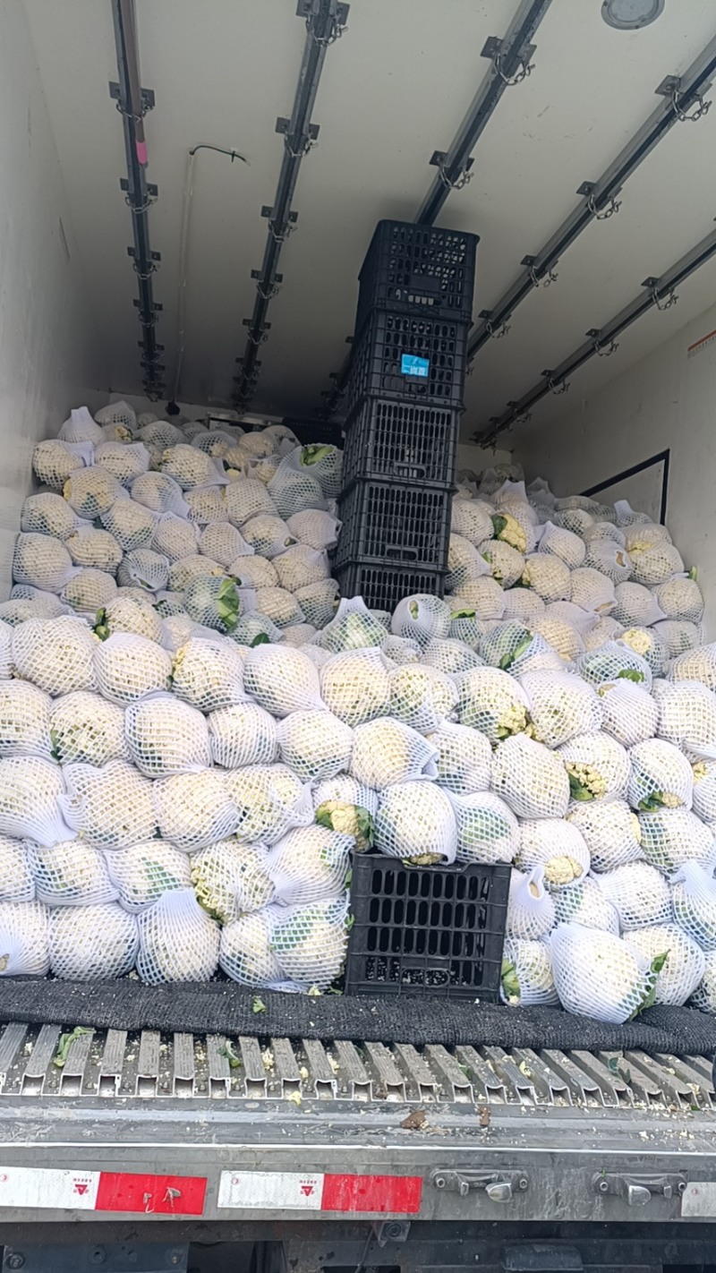 【复购多】有机花菜松花菜青梗白面走市场商超代发全国
