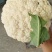 【复购多】有机花菜松花菜青梗白面走市场商超代发全国