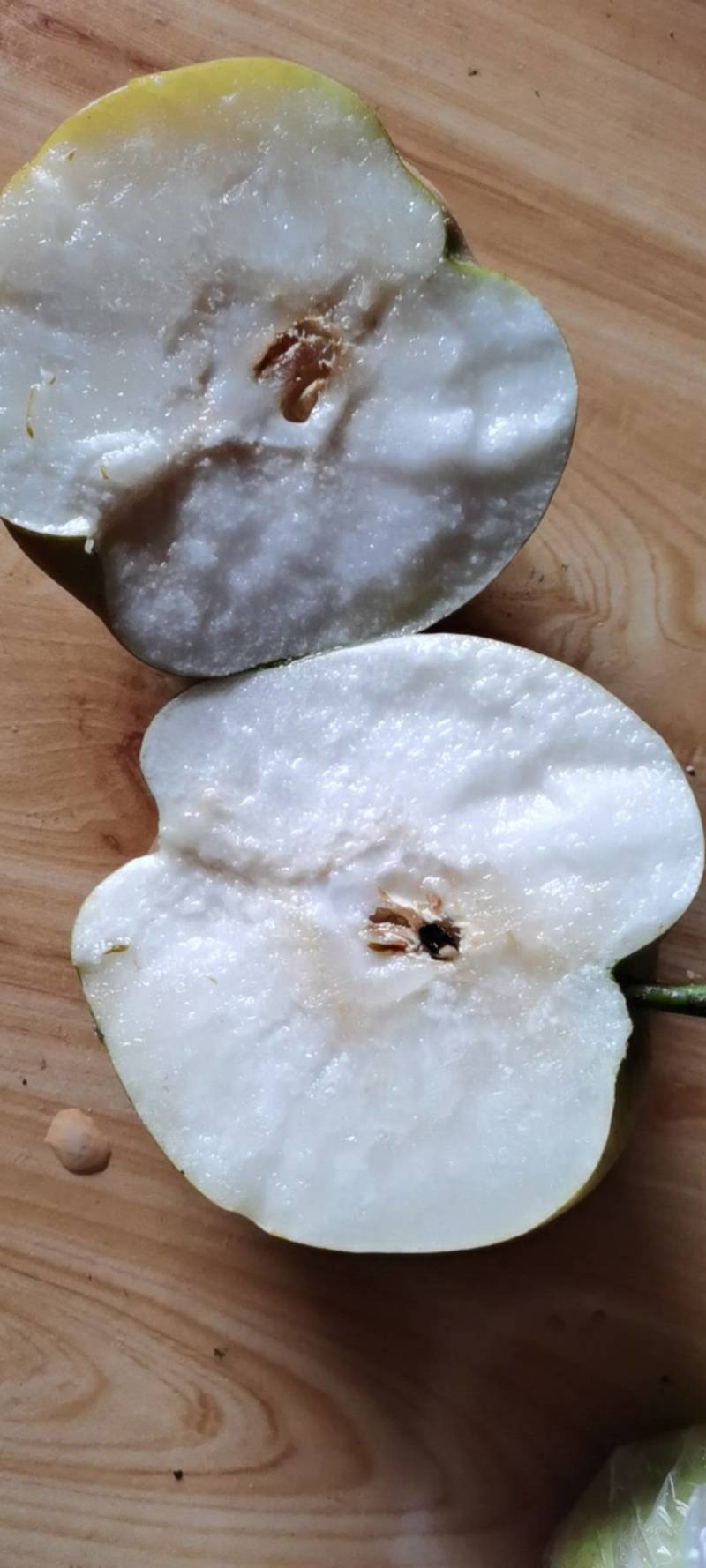 黄花梨大量上市，味道果型好，皮薄肉厚，核小，细纱，脆甜