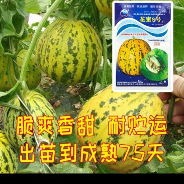 友权种植专业合社