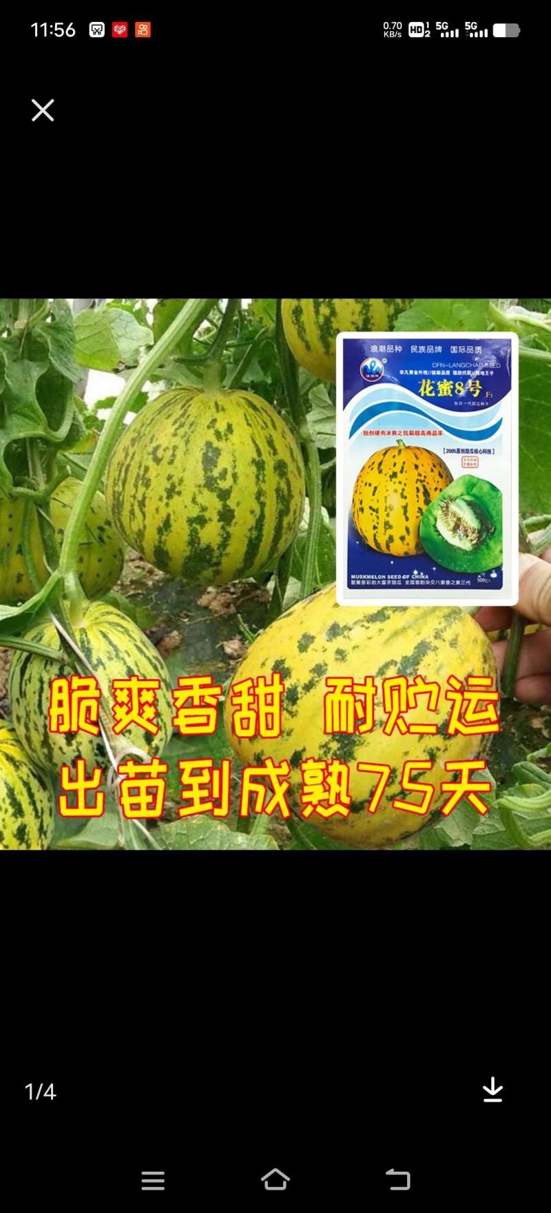 友权种植专业合社