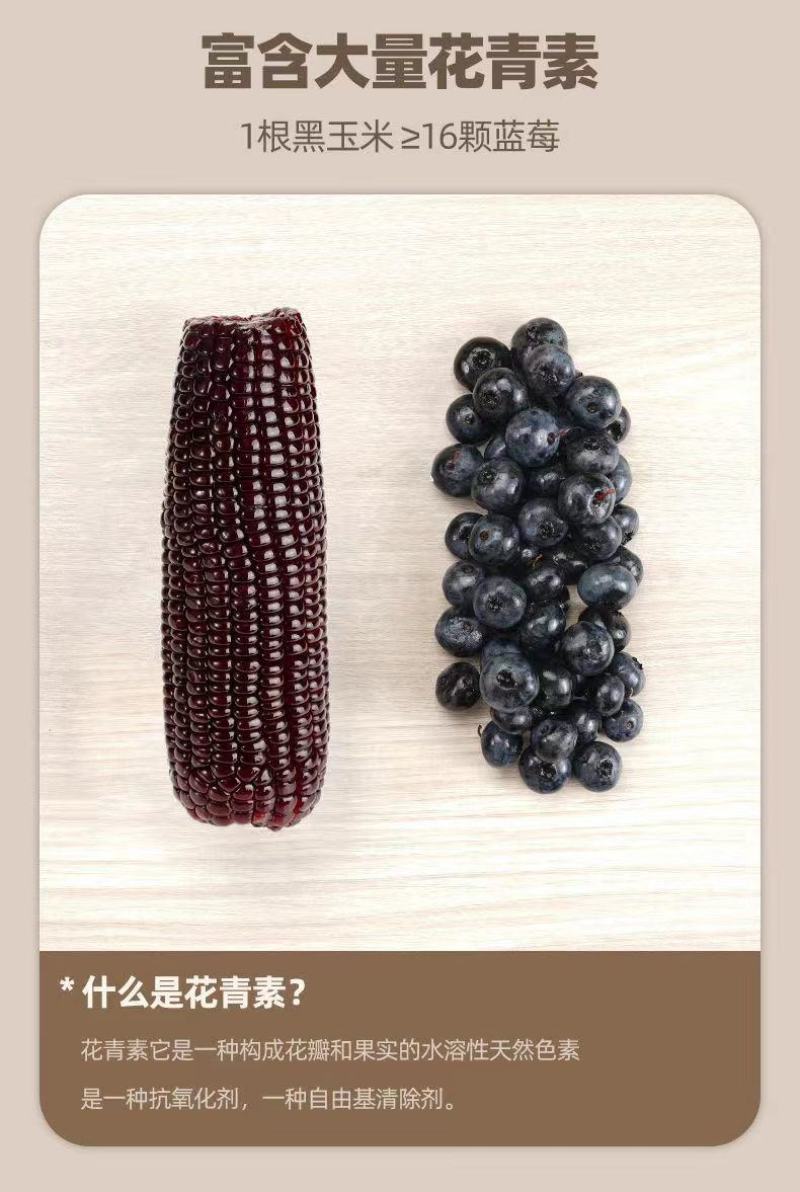 当季黑甜糯玉米真空包装