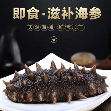 冷蒸高品质大连即食海参，鲜食海参工厂直发