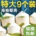 海南新鲜椰子带皮椰子天然当季正宗海南文昌椰子