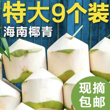 海南新鲜椰子带皮椰子天然当季正宗海南文昌椰子