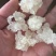 拉丝雪燕品质保障产地直销量大从优让您放心购买