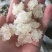 拉丝雪燕品质保障产地直销量大从优让您放心购买