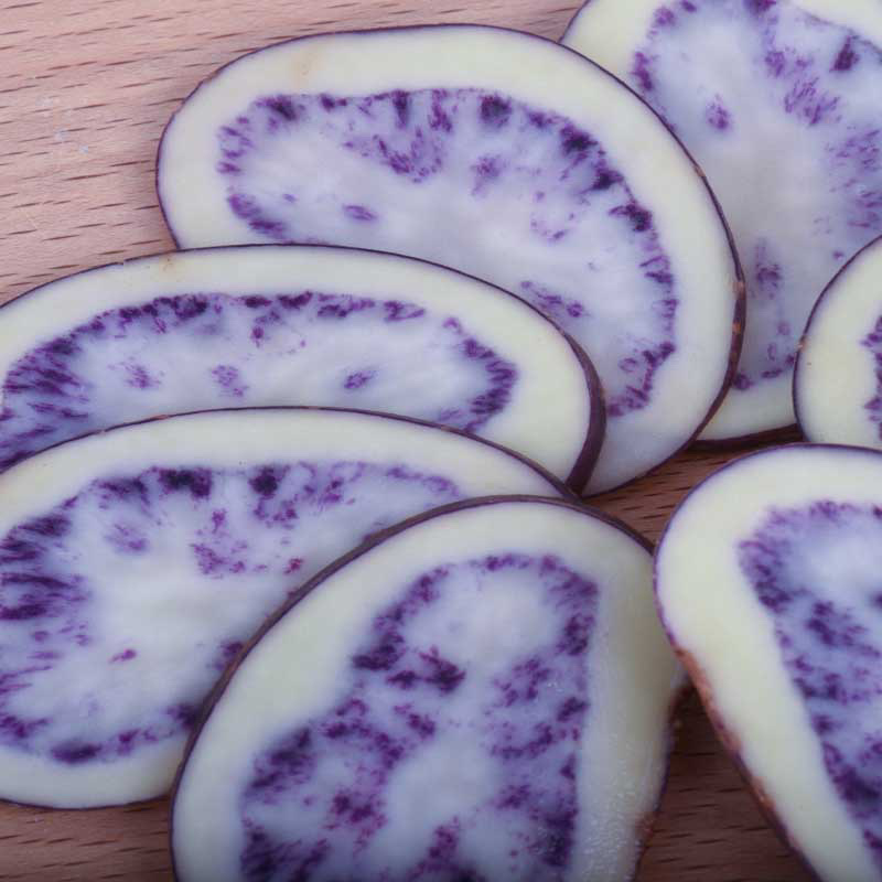 贵州四格乌洋芋