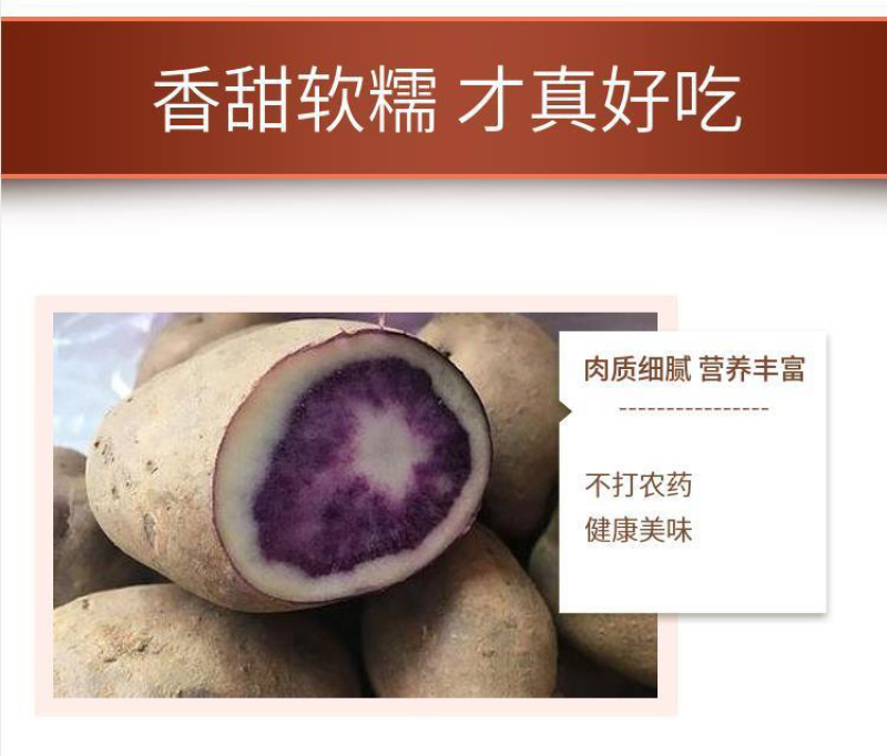 贵州四格乌洋芋