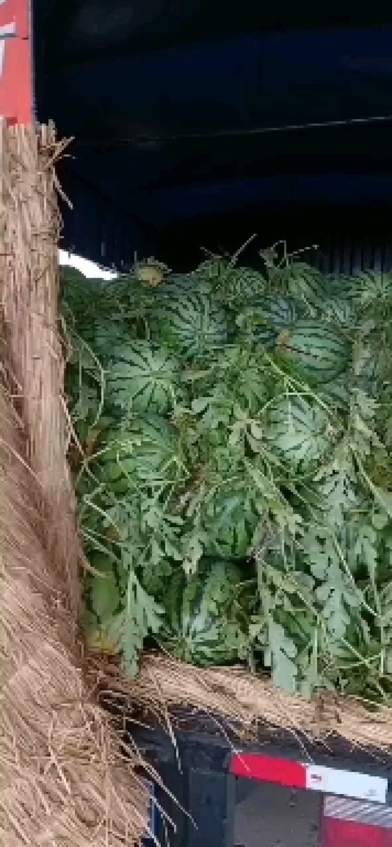 西瓜之乡