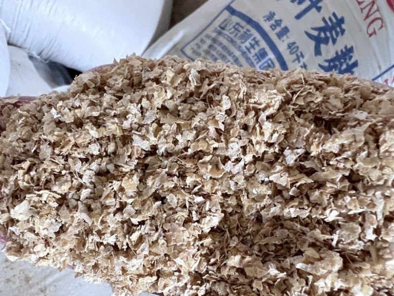 烘干麸皮