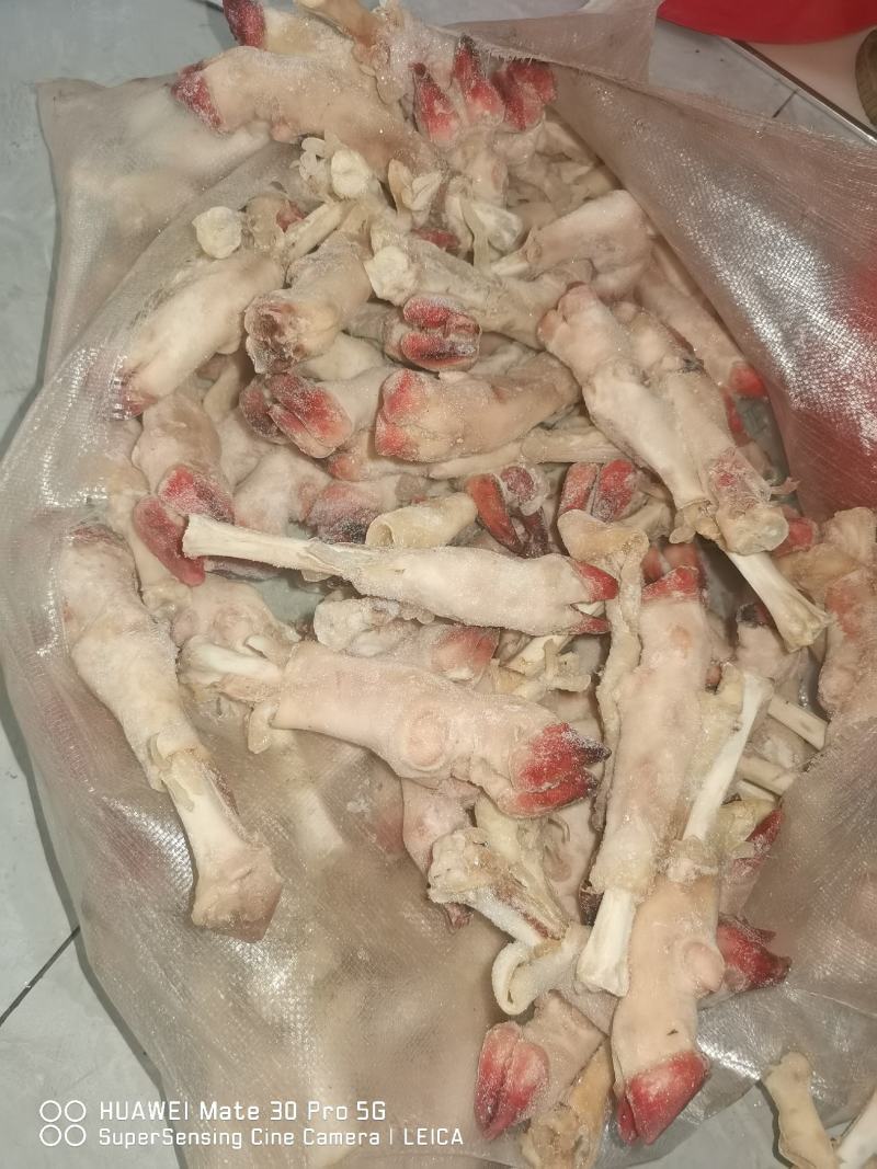 羊蹄水褪羊蹄菏泽精品羊蹄厂家直发支持视频看货实地验货