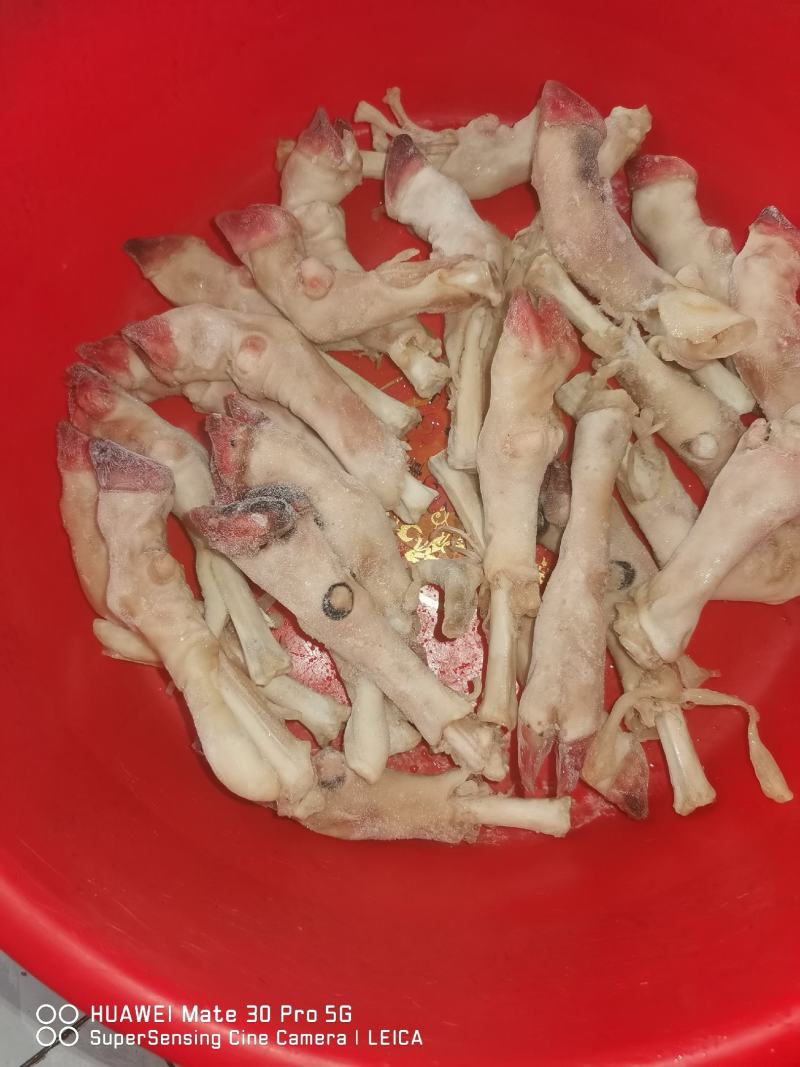 羊蹄水褪羊蹄菏泽精品羊蹄厂家直发支持视频看货实地验货