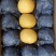 安徽砀山精品圆黄梨大量现货、要的老板联系
