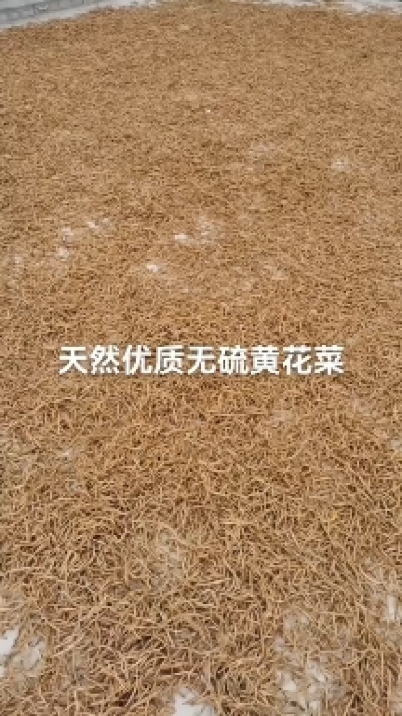 黄花菜