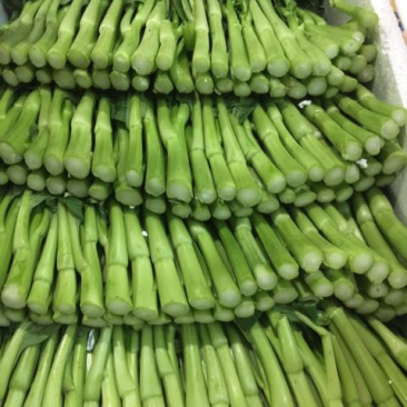 宁夏优质菜心.菜苔.芥菜，广东大量供应