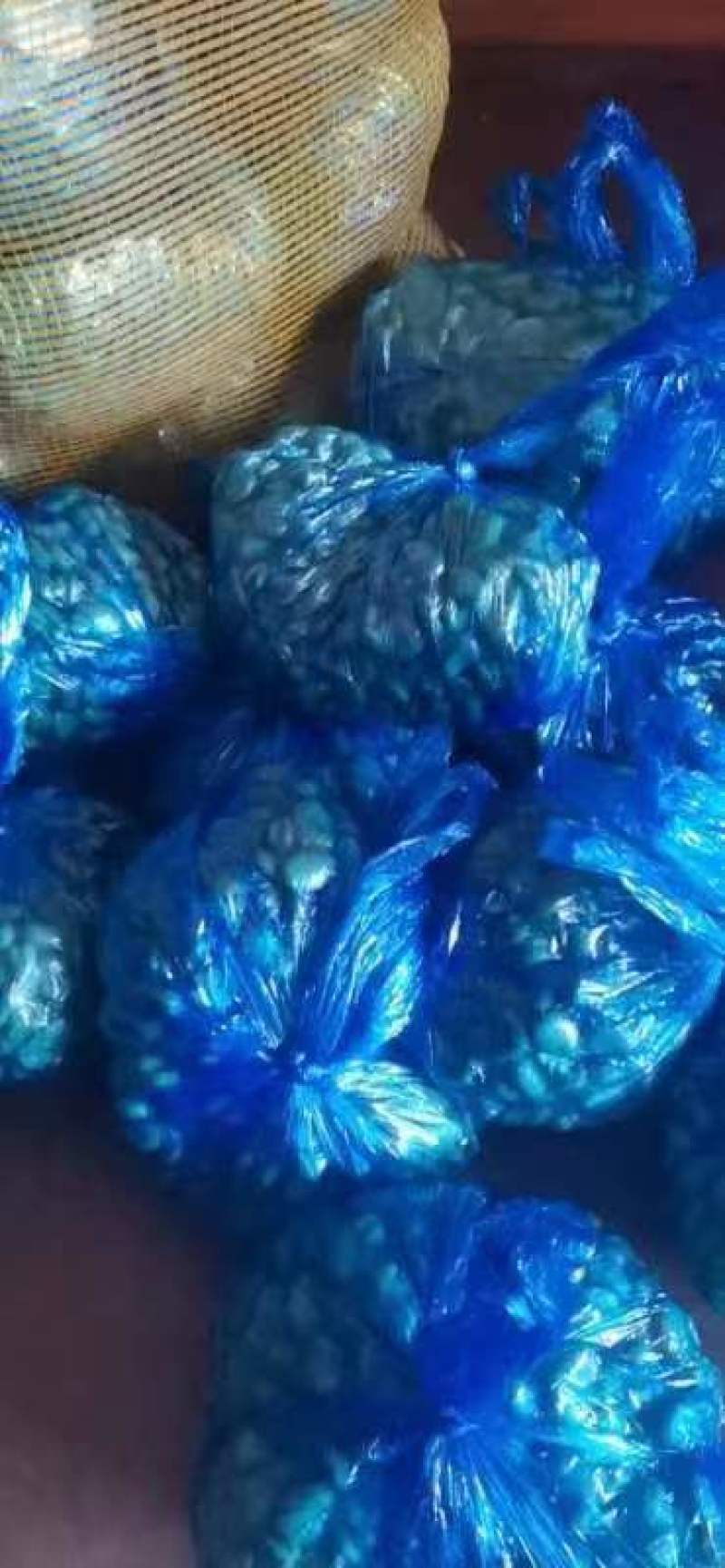 甘肃蚕豆新鲜蚕豆角，大量上市，供应全国，欢迎咨询